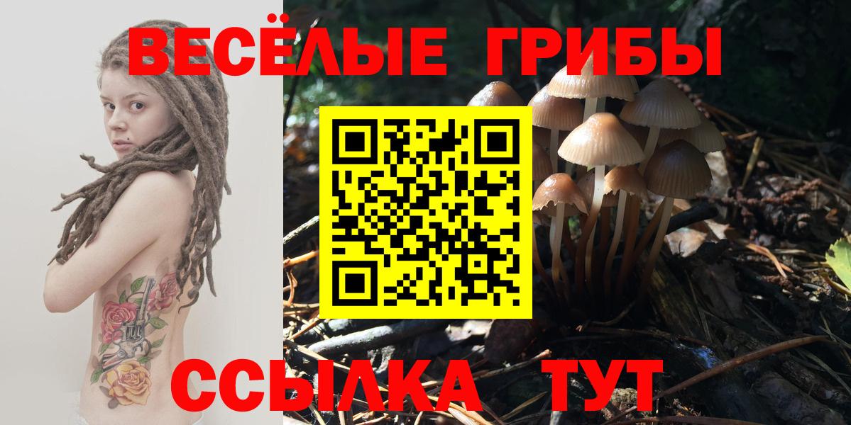 Дивногорск  Каннабис  Вход с VPN  Гашиш  МЕФ   Кокаин 