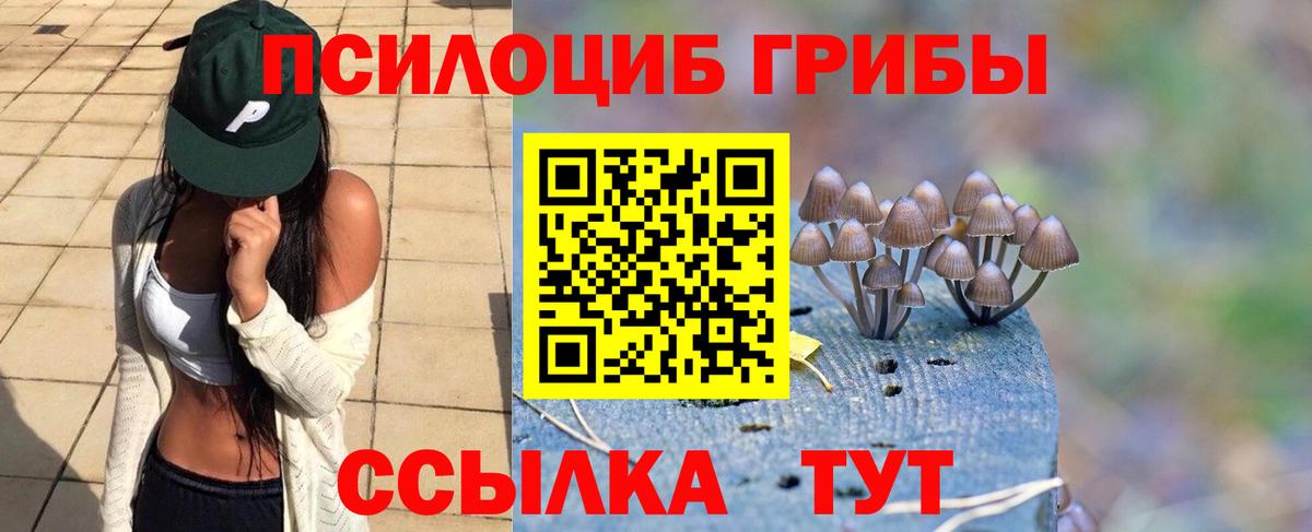 Галлюциногенные грибы Psilocybine cubensis Дивногорск