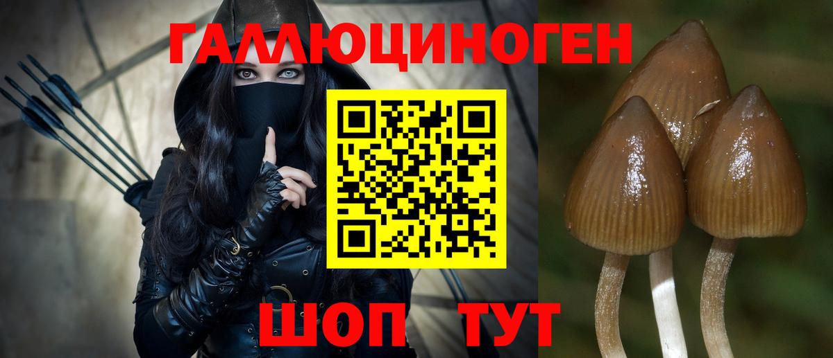 Дивногорск  Псилоцибиновые грибы прущие грибы  Вход с VPN 